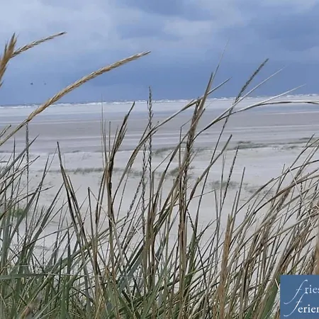 Friesenhain Apartament *