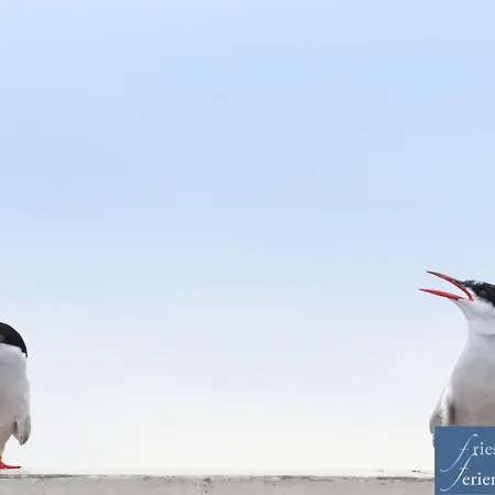 Friesenhain Apartament *