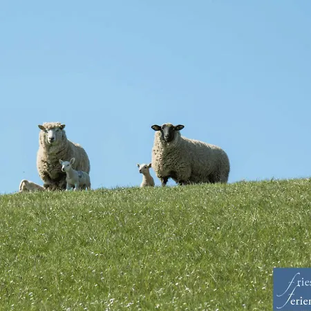 Friesenhain Apartament