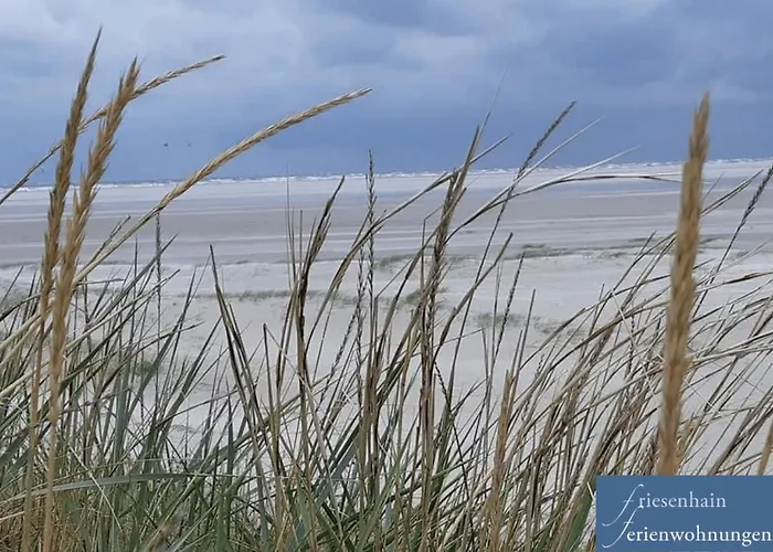 Friesenhain شقة *